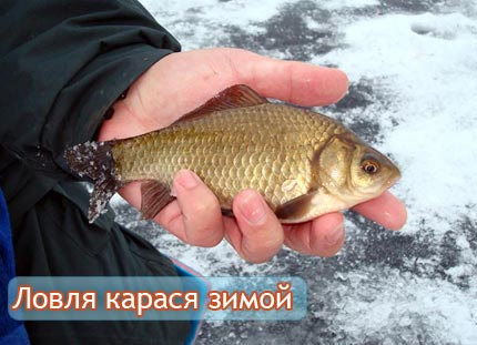 Ловля карася зимой