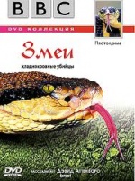 Змея